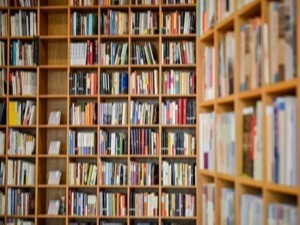 基于RFID技术的图书档案管理系统