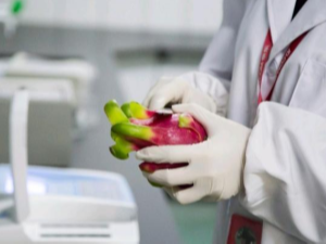 智能水果RFID管理