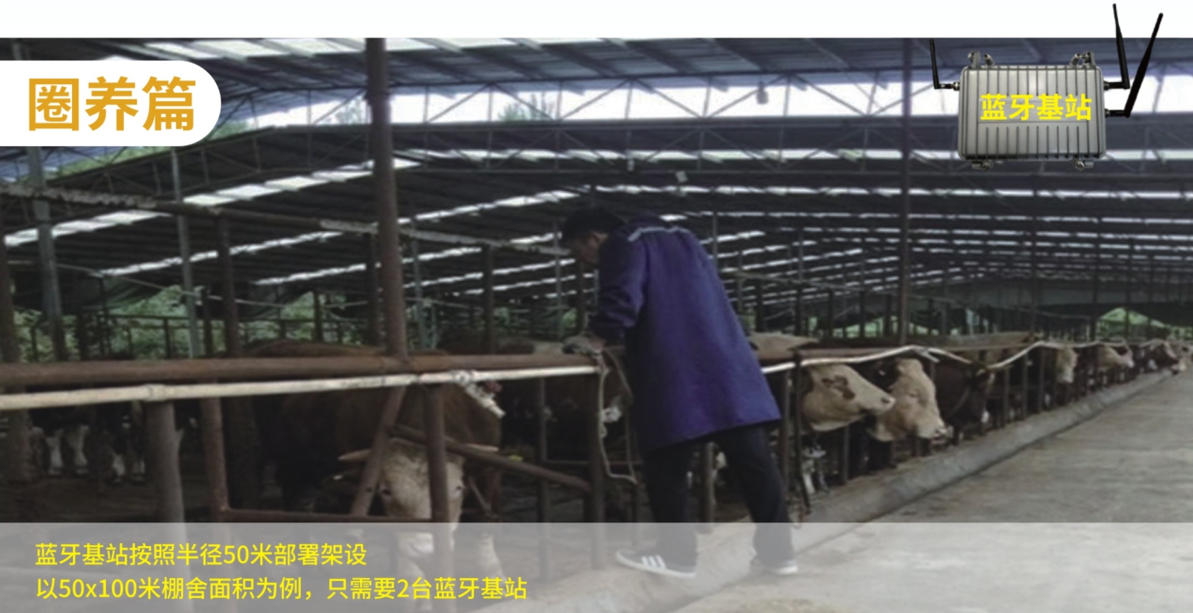 微信截图_20231220182203