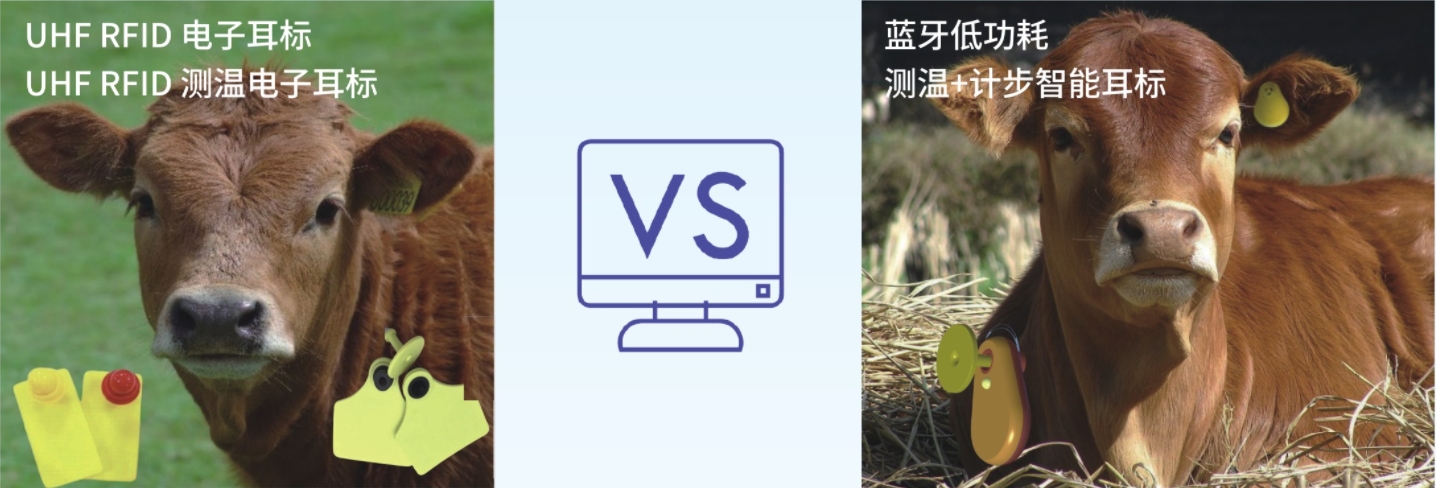 微信截图_20231220182138